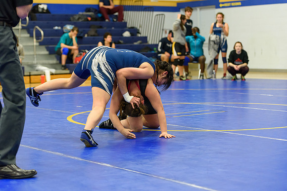 Wrestling DHS 011516-3-3430