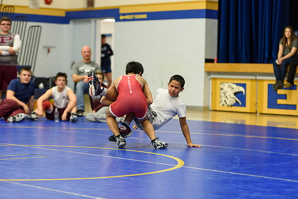 Wrestling DHS 011516-3-3576