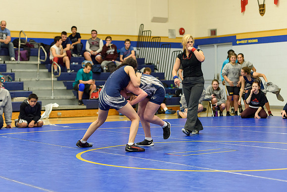Wrestling DHS 011516-3-3314