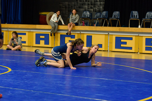 Wrestling DHS 011516-3-4956