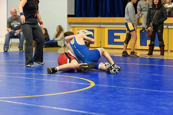 Wrestling DHS 011516-3-5260