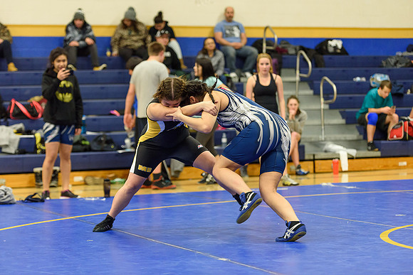 Wrestling DHS 011516-3-3404