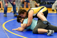 Wrestling DHS 011516-3-2374