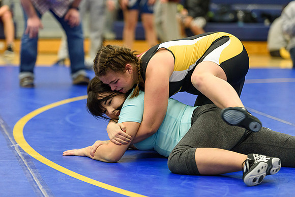 Wrestling DHS 011516-3-2374
