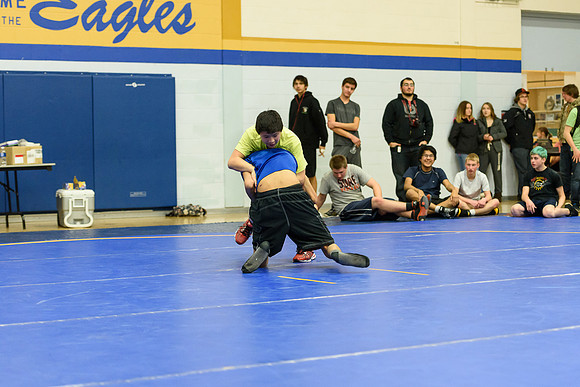 Wrestling DHS 011516-3-4084