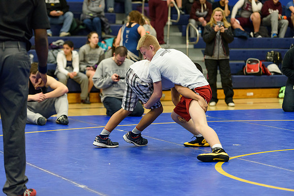 Wrestling DHS 011516-3-4523