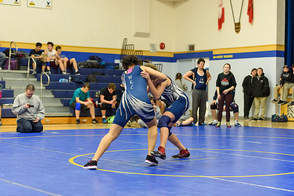 Wrestling DHS 011516-3-4145