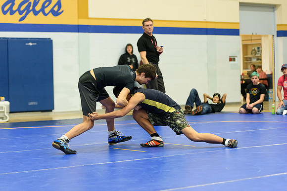 Wrestling DHS 011516-3-3393