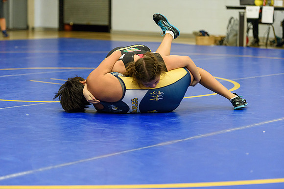 Wrestling DHS 011516-3-5743