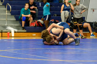 Wrestling DHS 011516-3-3519