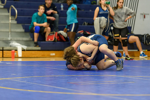 Wrestling DHS 011516-3-3519