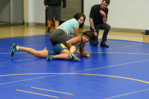 Wrestling DHS 011516-3-5100