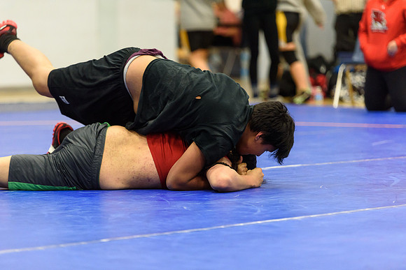 Wrestling DHS 011516-3-3703