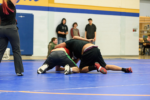 Wrestling DHS 011516-3-3764