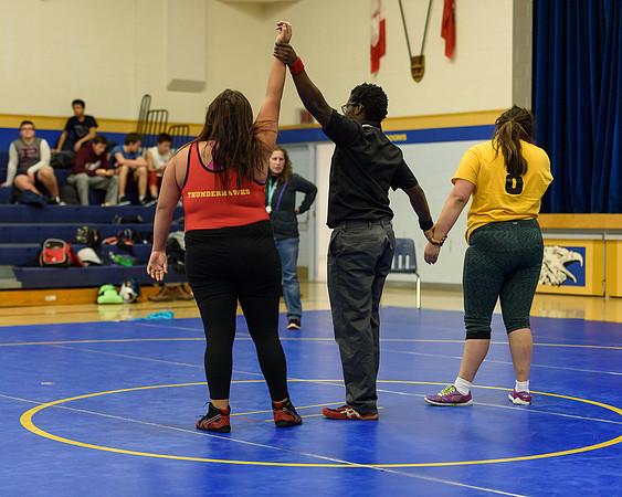 Wrestling DHS 011516-3-4451