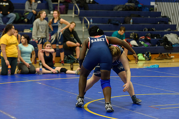 Wrestling DHS 011516-3-4370
