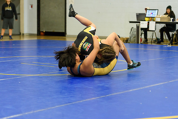 Wrestling DHS 011516-3-5741