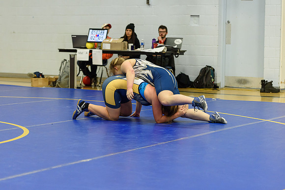 Wrestling DHS 011516-3-5879