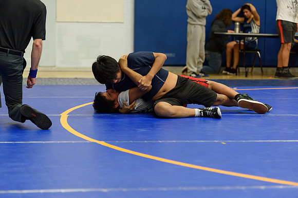 Wrestling DHS 011516-3-4542