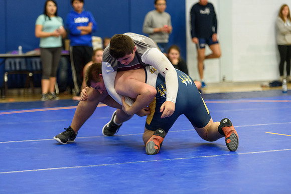 Wrestling DHS 011516-3-3091