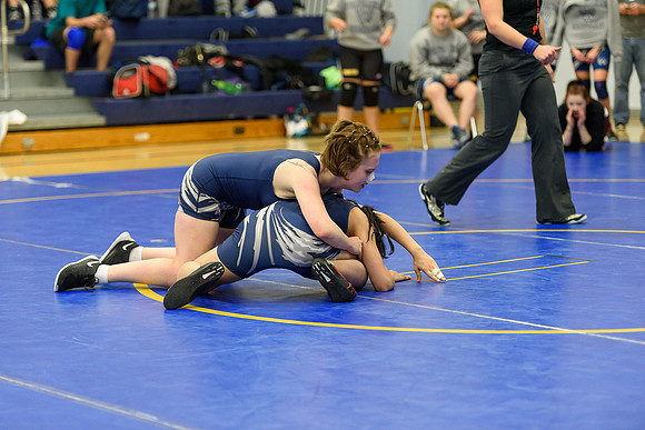 Wrestling DHS 011516-3-3210