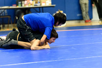 Wrestling DHS 011516-3-2753