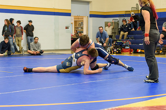 Wrestling DHS 011516-3-3843