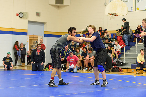 Wrestling DHS 011516-3-2424