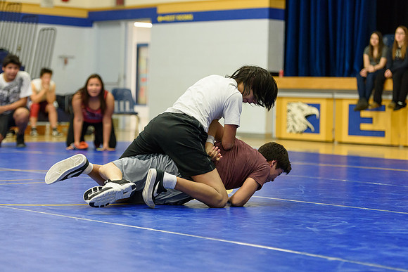 Wrestling DHS 011516-3-3682