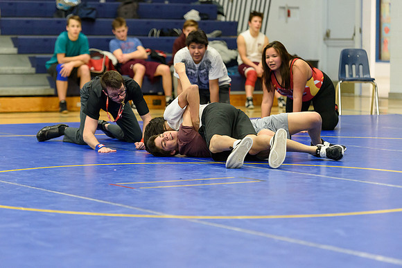Wrestling DHS 011516-3-3694