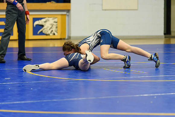 Wrestling DHS 011516-3-5694