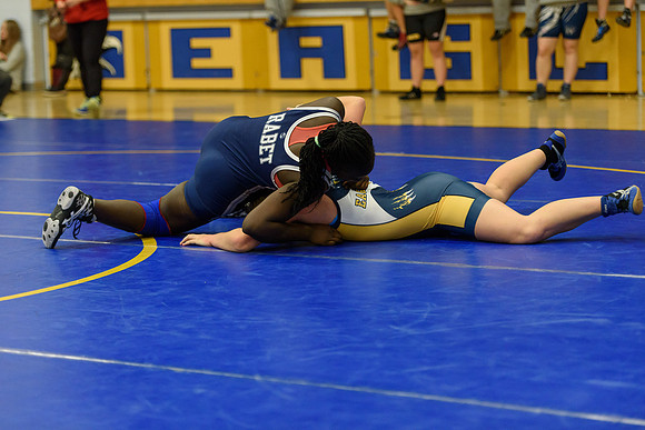 Wrestling DHS 011516-3-5209
