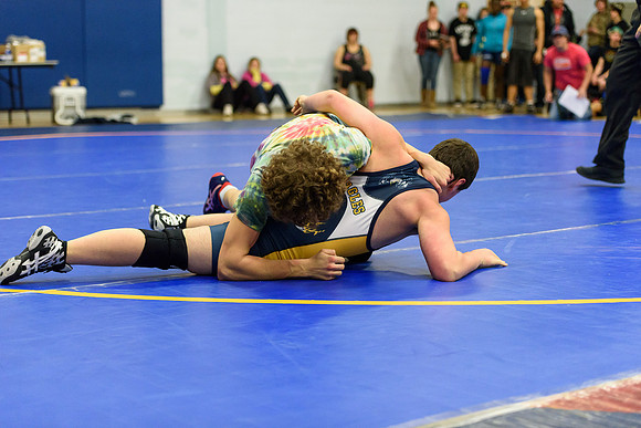 Wrestling DHS 011516-3-2138