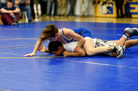 Wrestling DHS 011516-3-2577