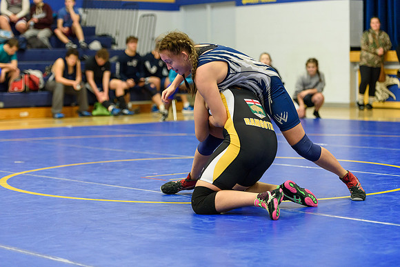 Wrestling DHS 011516-3-3340