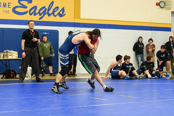 Wrestling DHS 011516-3-2997