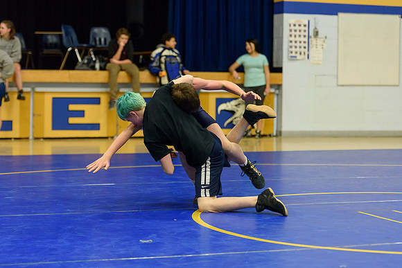 Wrestling DHS 011516-3-5321