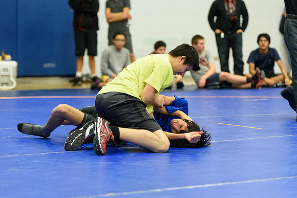 Wrestling DHS 011516-3-4101