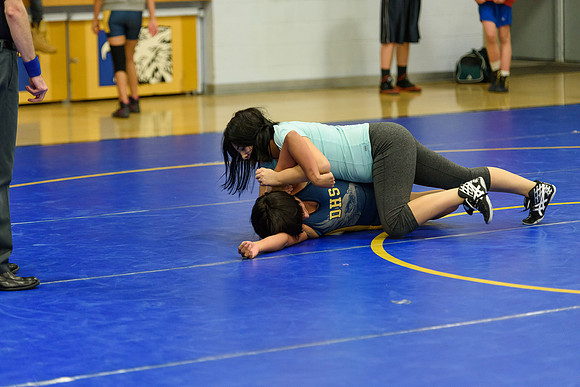 Wrestling DHS 011516-3-5116