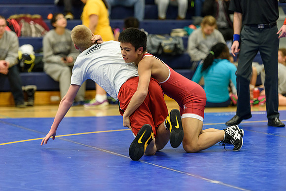 Wrestling DHS 011516-3-2655