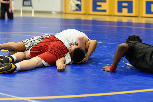 Wrestling DHS 011516-3-4536