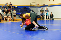 Wrestling DHS 011516-3-2709