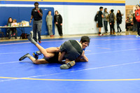 Wrestling DHS 011516-3-2741