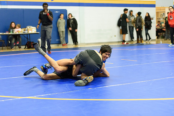Wrestling DHS 011516-3-2741