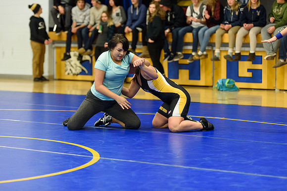 Wrestling DHS 011516-3-2389
