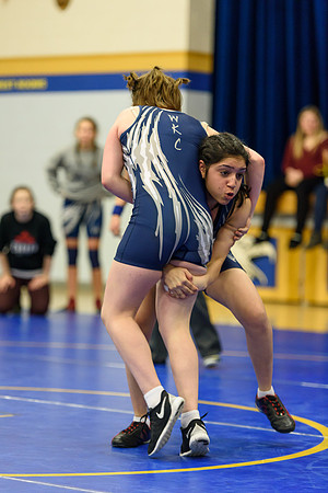 Wrestling DHS 011516-3-3175
