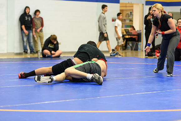 Wrestling DHS 011516-3-3699