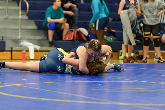 Wrestling DHS 011516-3-3521