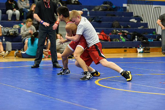 Wrestling DHS 011516-3-2651