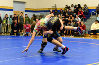Wrestling DHS 011516-3-2153